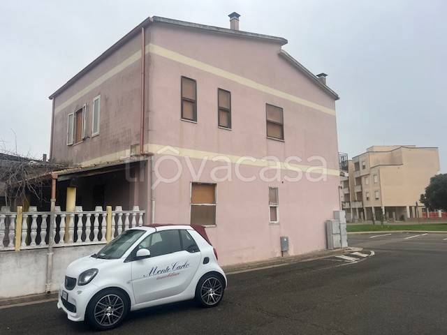 immagine annuncio 10 di 11
