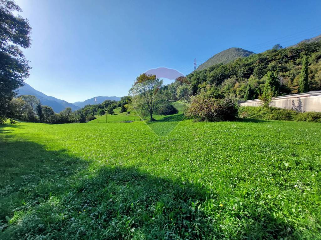 immagine annuncio 4 di 12