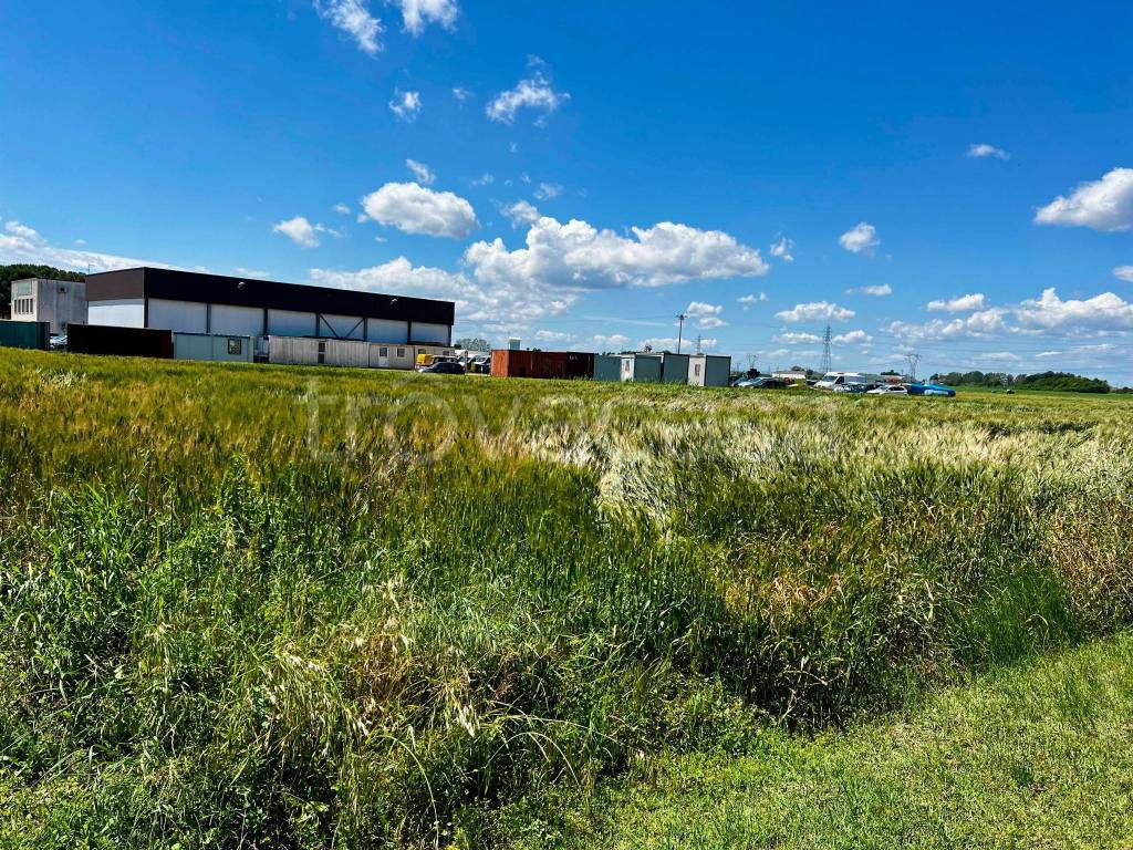 immagine annuncio 2 di 15