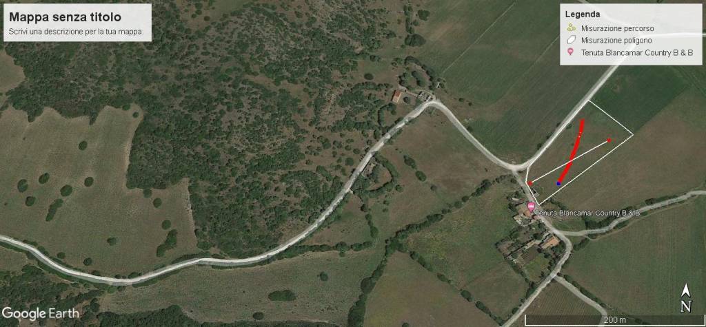 immagine annuncio 8 di 10