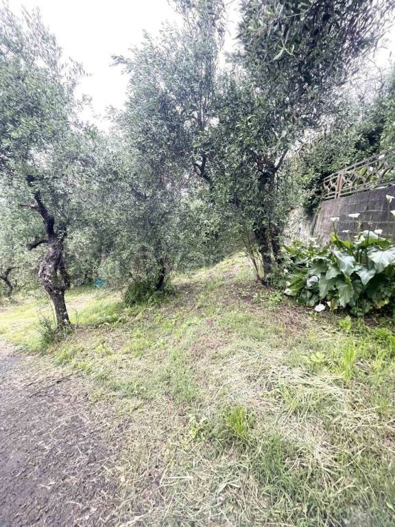 immagine annuncio 5 di 14