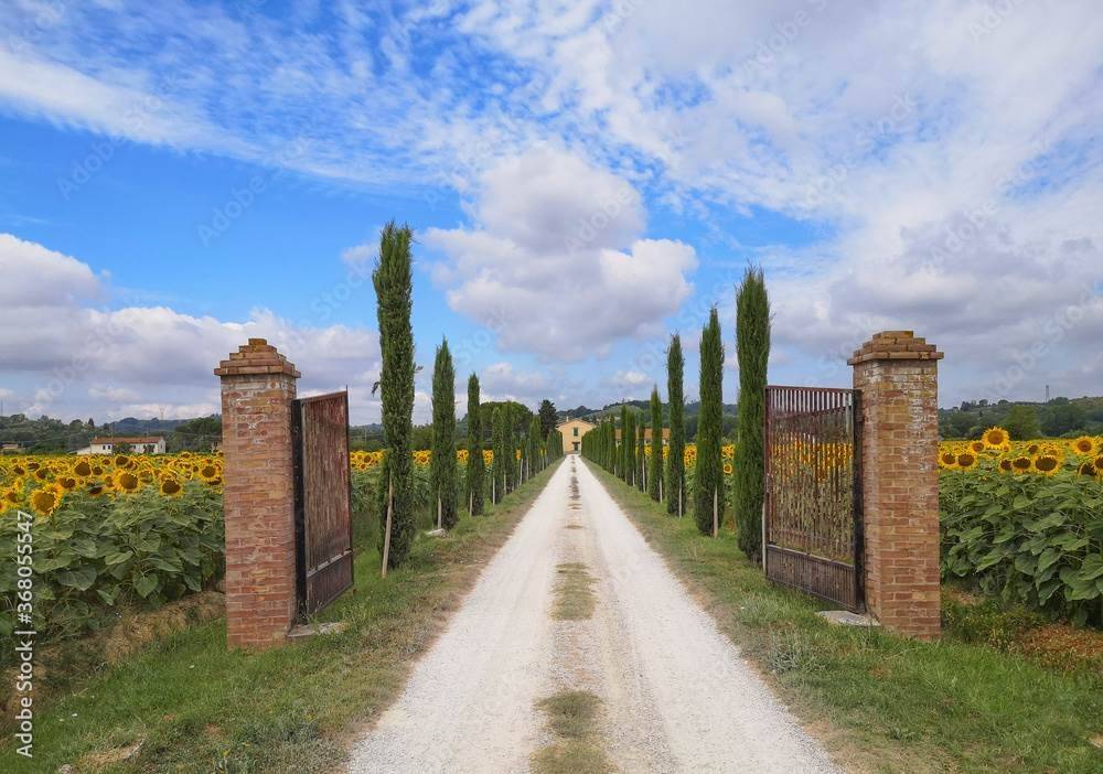 immagine annuncio 8 di 14