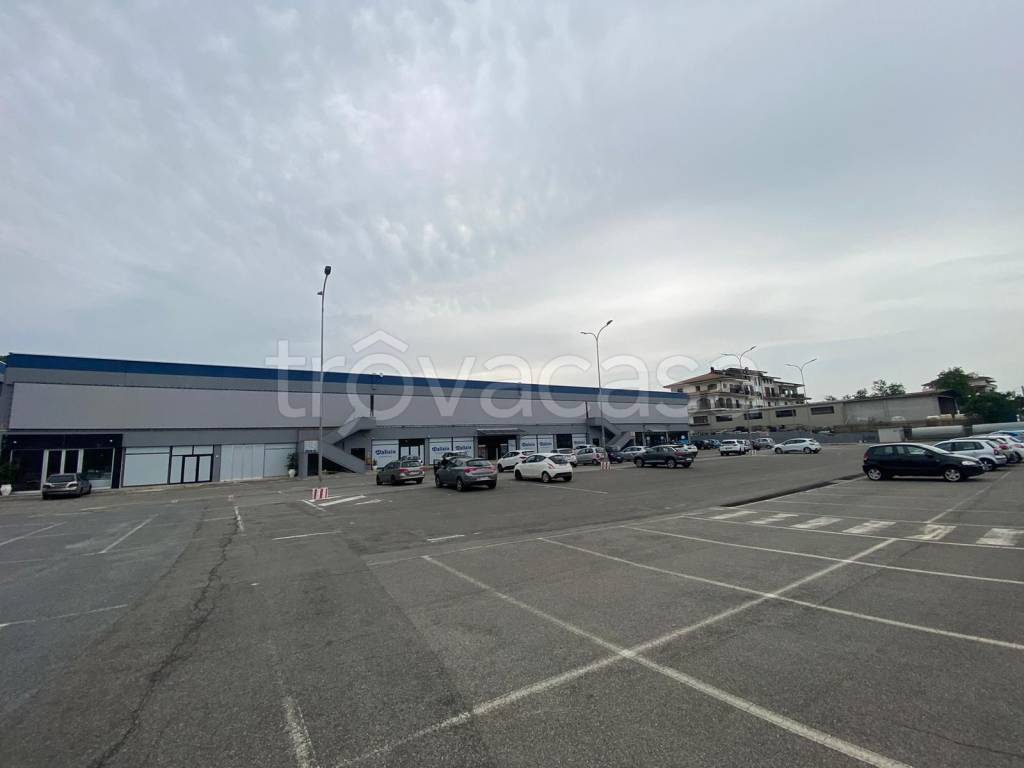 immagine annuncio 9 di 13