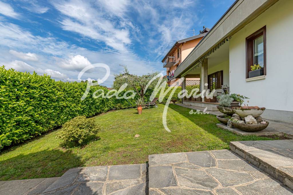 immagine annuncio 6 di 15