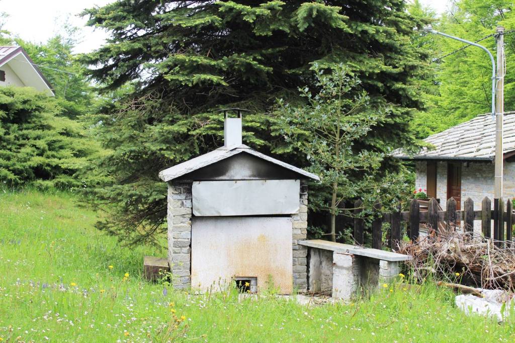 immagine annuncio 2 di 13
