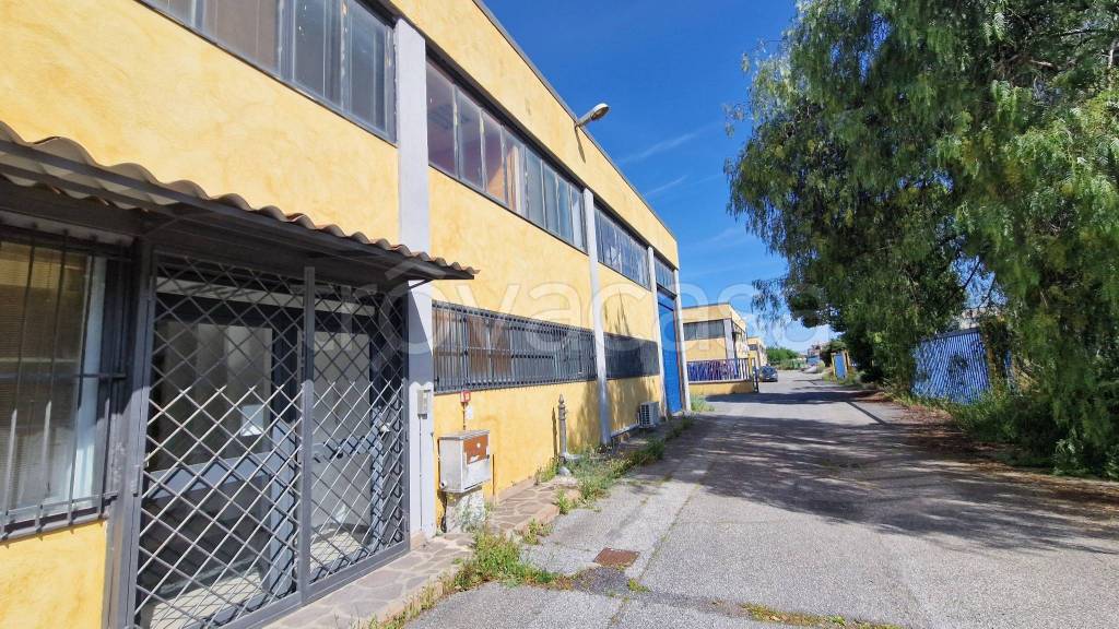 immagine annuncio 10 di 15