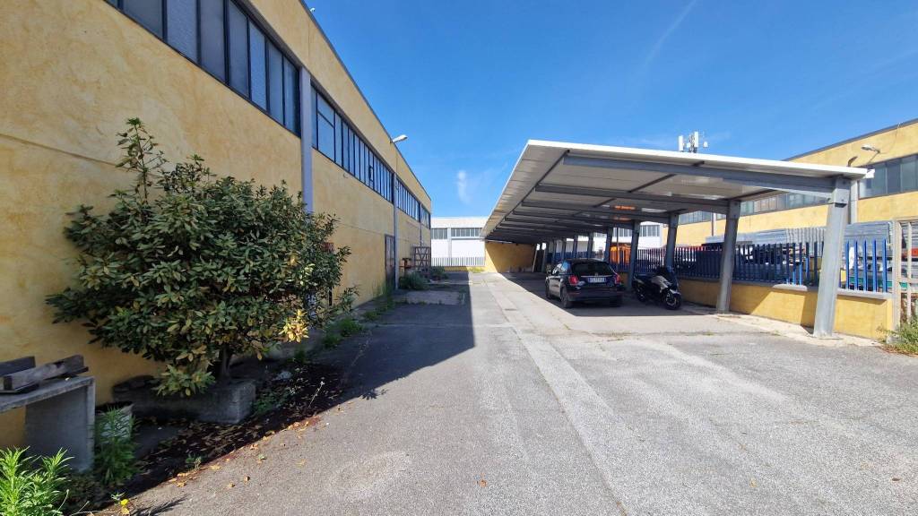 immagine annuncio 12 di 15