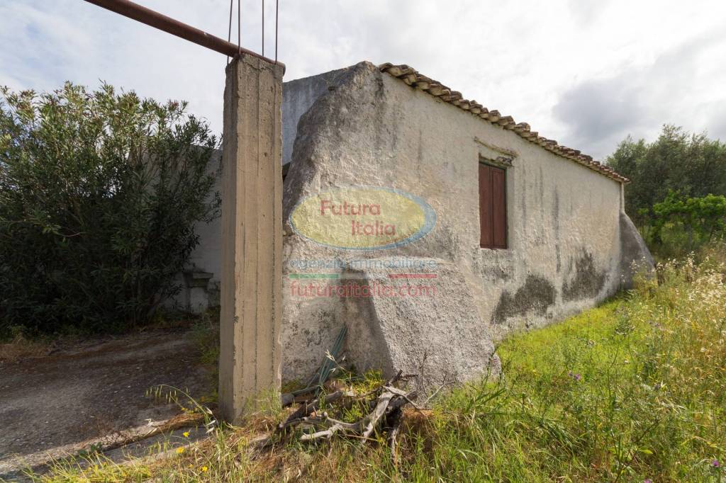 immagine annuncio 6 di 12