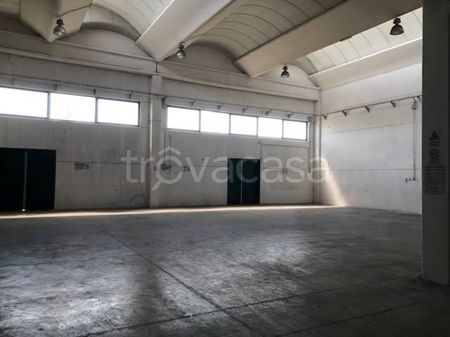 immagine annuncio 2 di 4