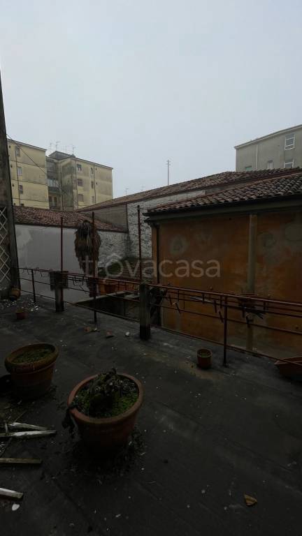 immagine annuncio 10 di 14