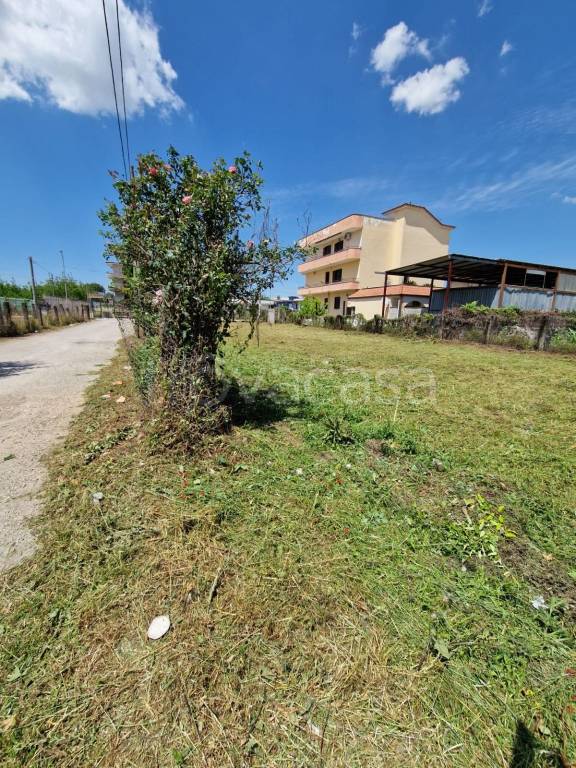 immagine annuncio 1 di 9