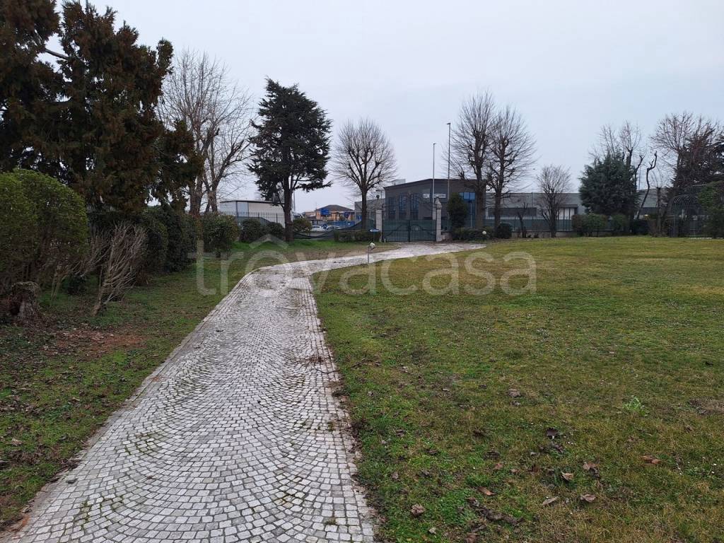 immagine annuncio 5 di 15