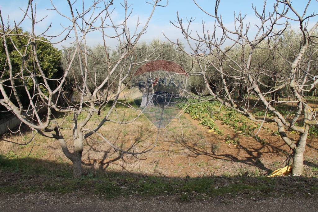 immagine annuncio 4 di 11