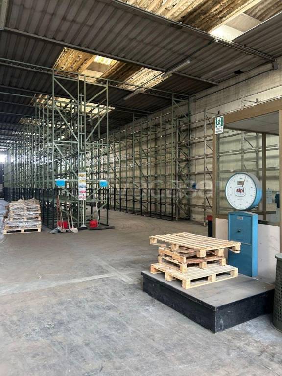 immagine annuncio 3 di 11