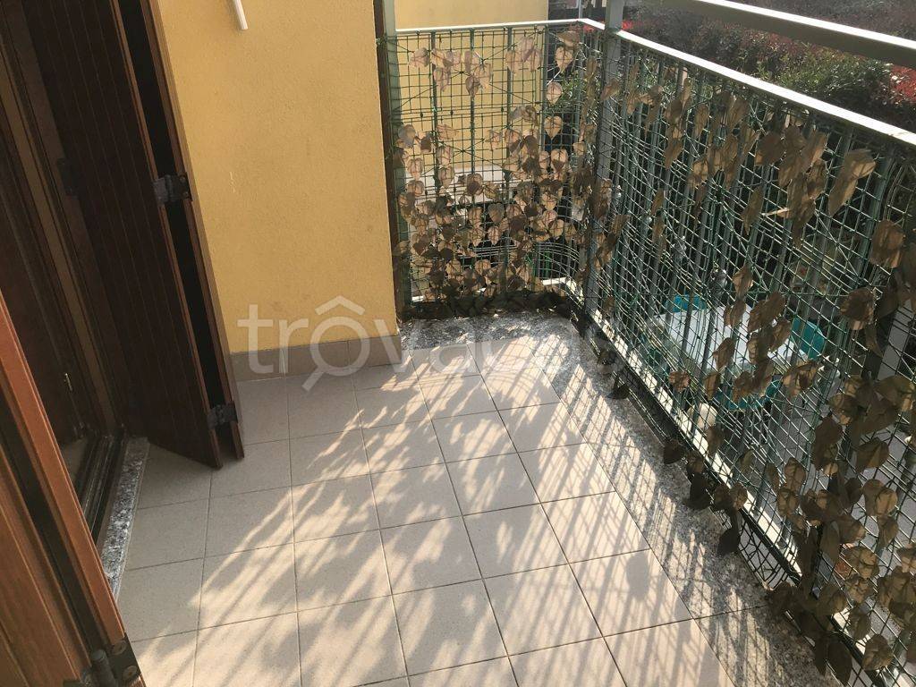 immagine annuncio 11 di 14