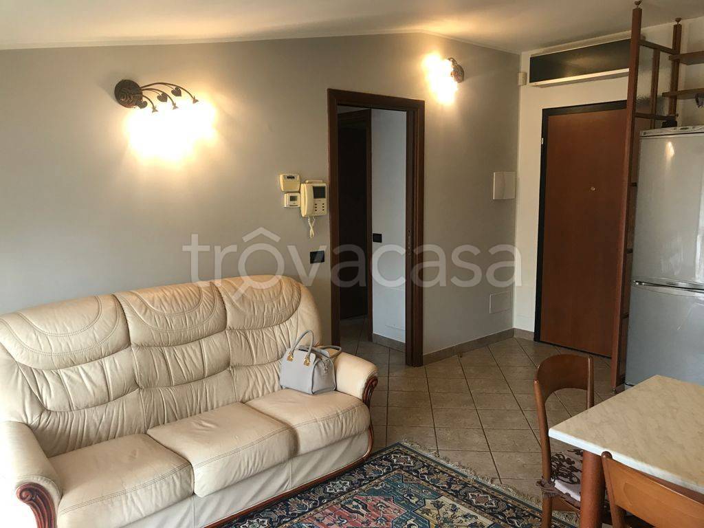 immagine annuncio 3 di 14
