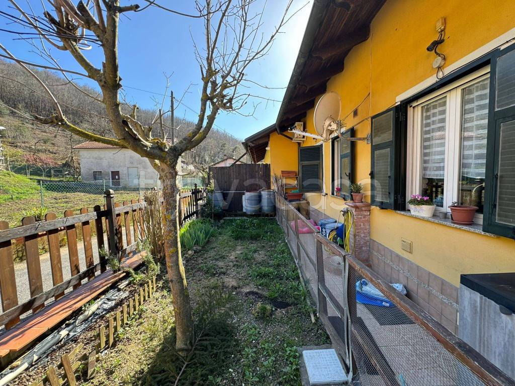 immagine annuncio 7 di 15