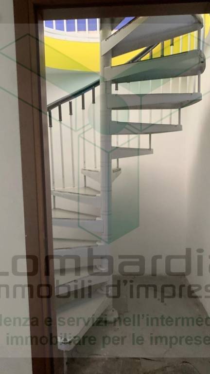 immagine annuncio 9 di 12