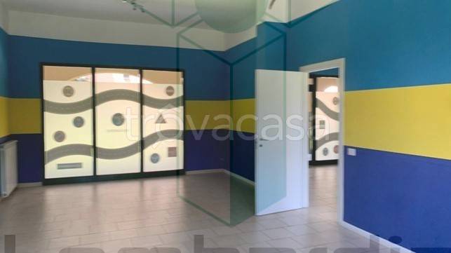 immagine annuncio 7 di 12