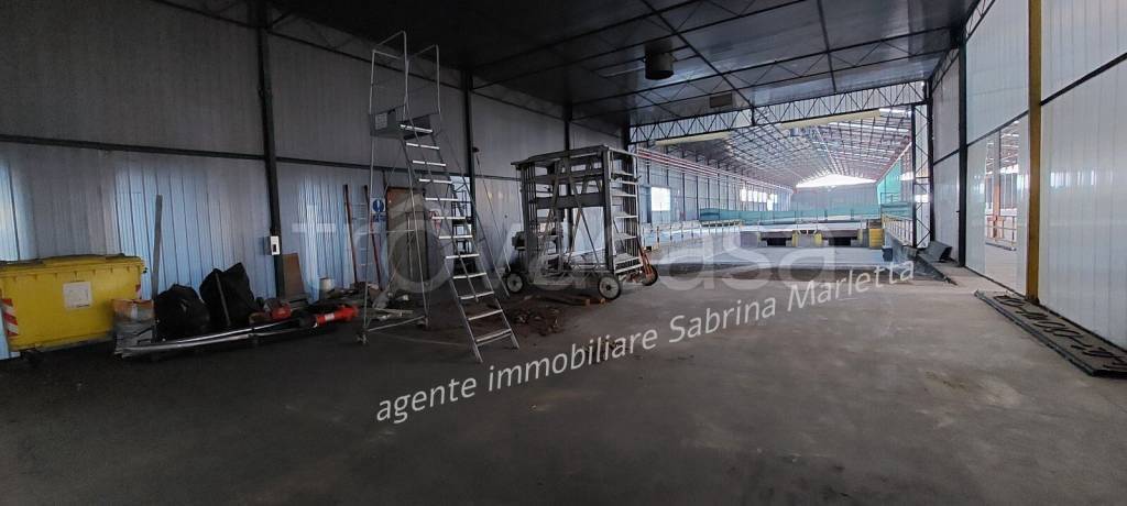 immagine annuncio 12 di 14