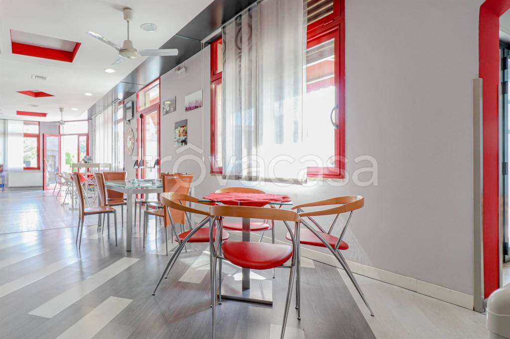 immagine annuncio 8 di 15