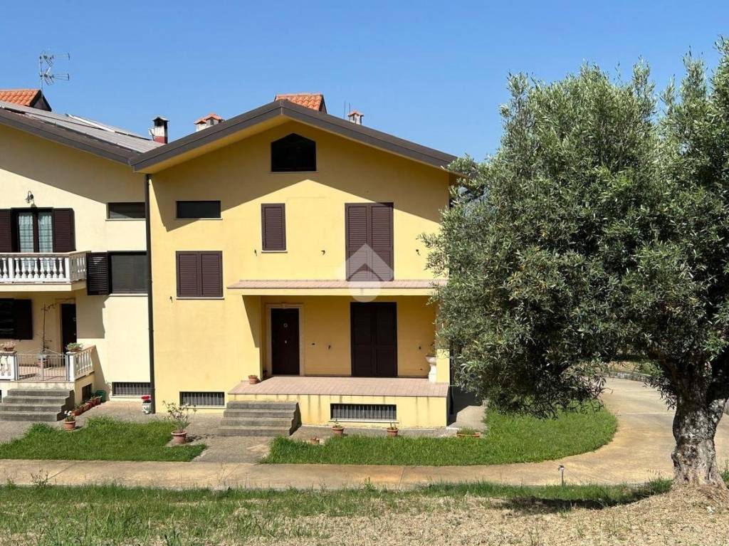 immagine annuncio 11 di 12
