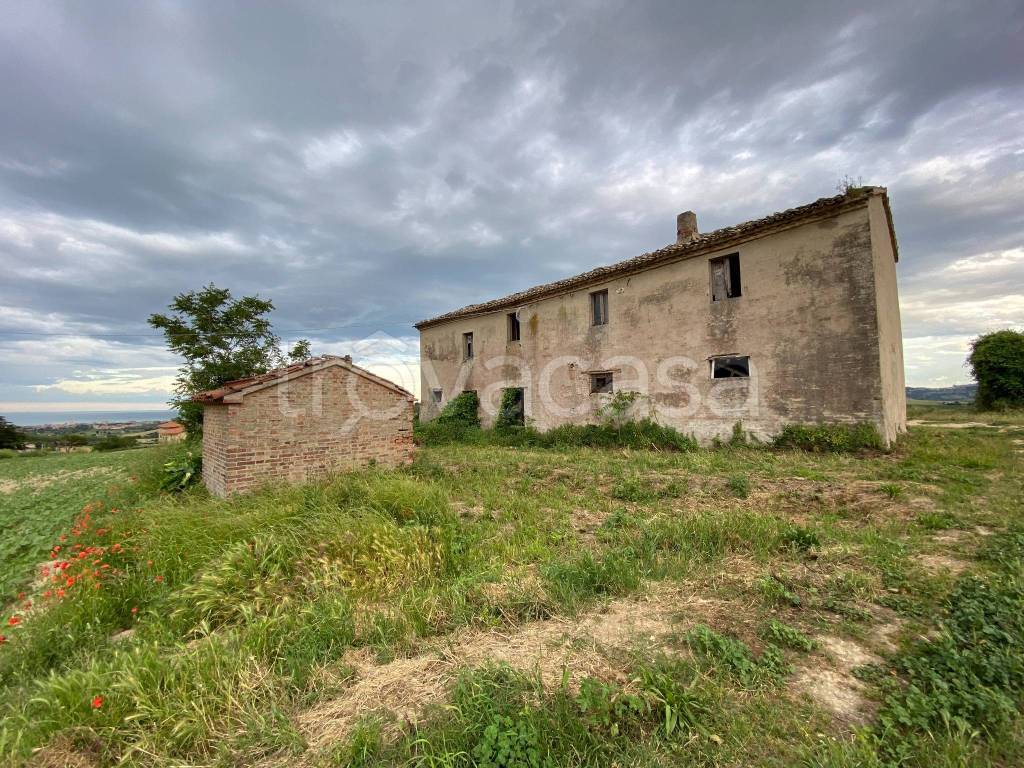 immagine annuncio 2 di 13