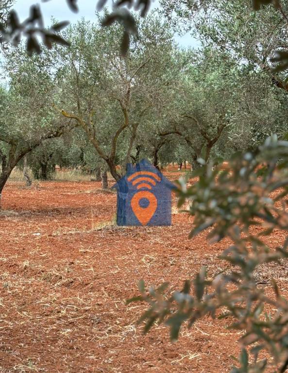 immagine annuncio 6 di 8