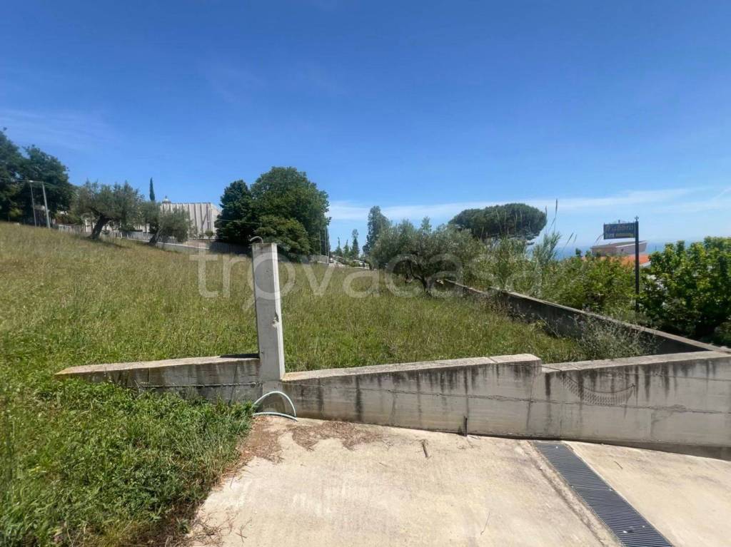 immagine annuncio 6 di 7