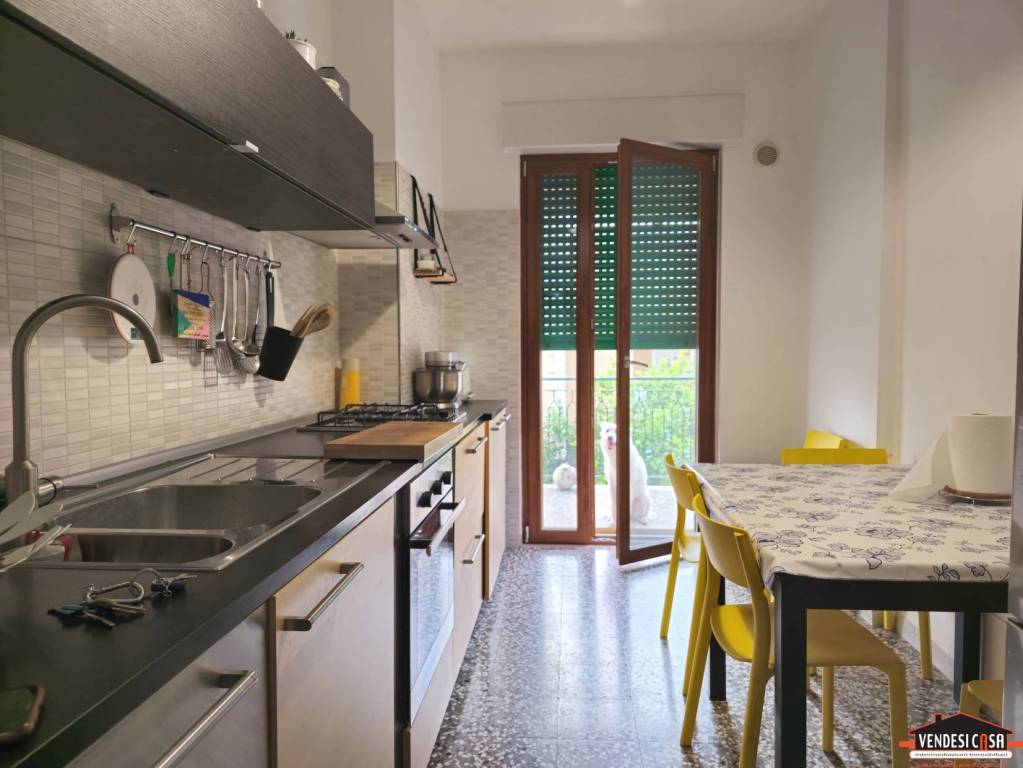 immagine annuncio 3 di 8