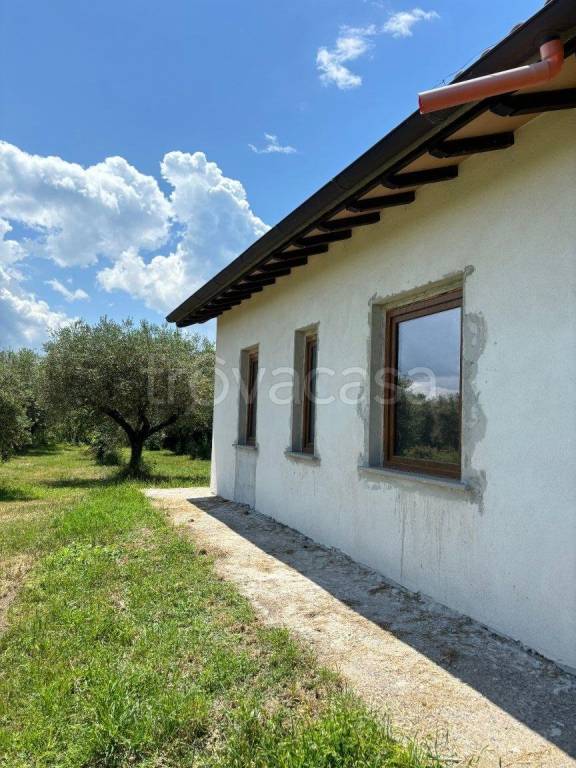 immagine annuncio 7 di 12