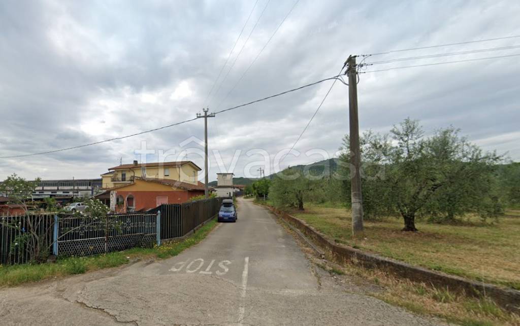 immagine annuncio 5 di 12