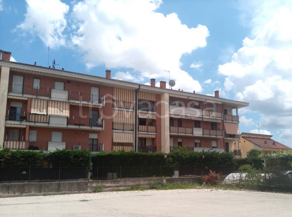 immagine annuncio 4 di 15