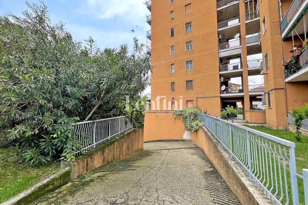 immagine annuncio 5 di 8