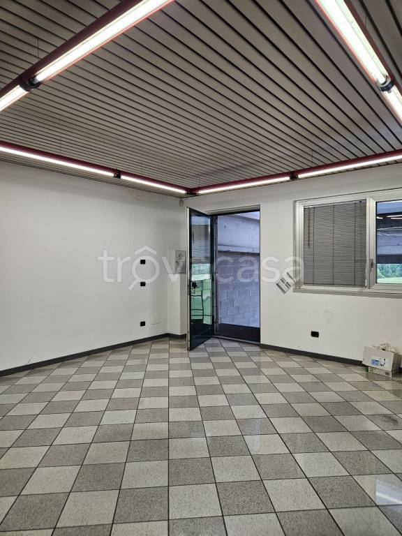 immagine annuncio 2 di 9