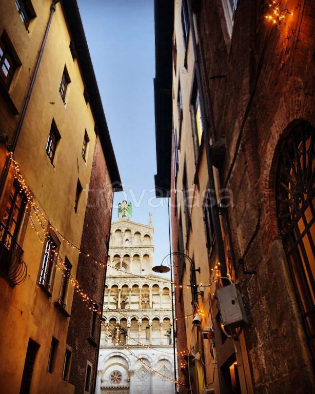 immagine annuncio 7 di 8