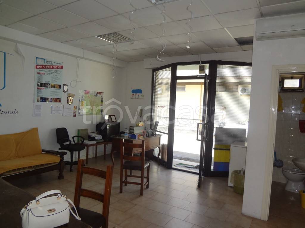 immagine annuncio 9 di 11