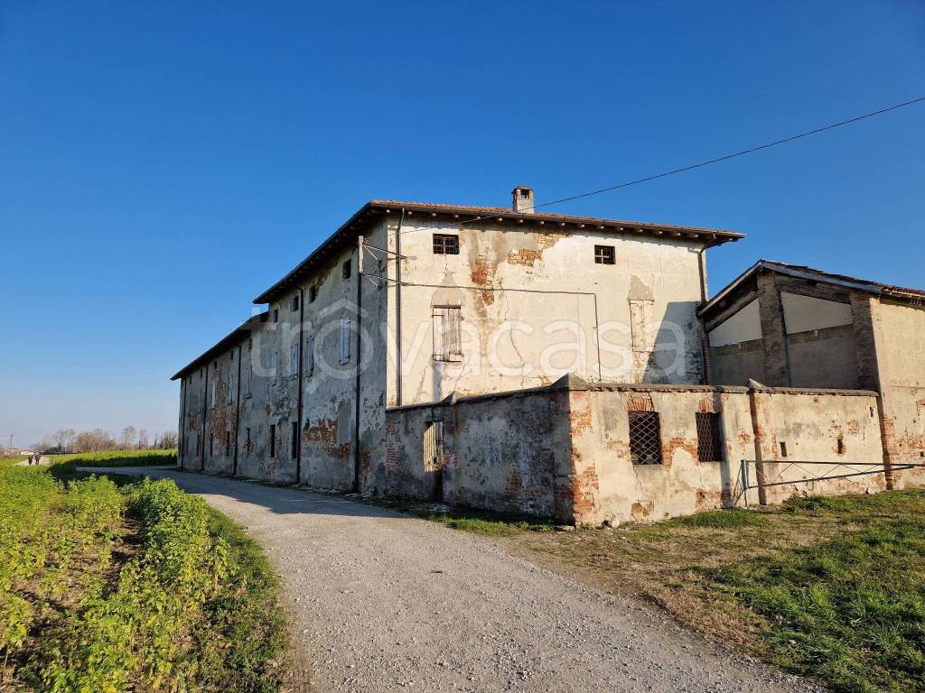 immagine annuncio 2 di 11