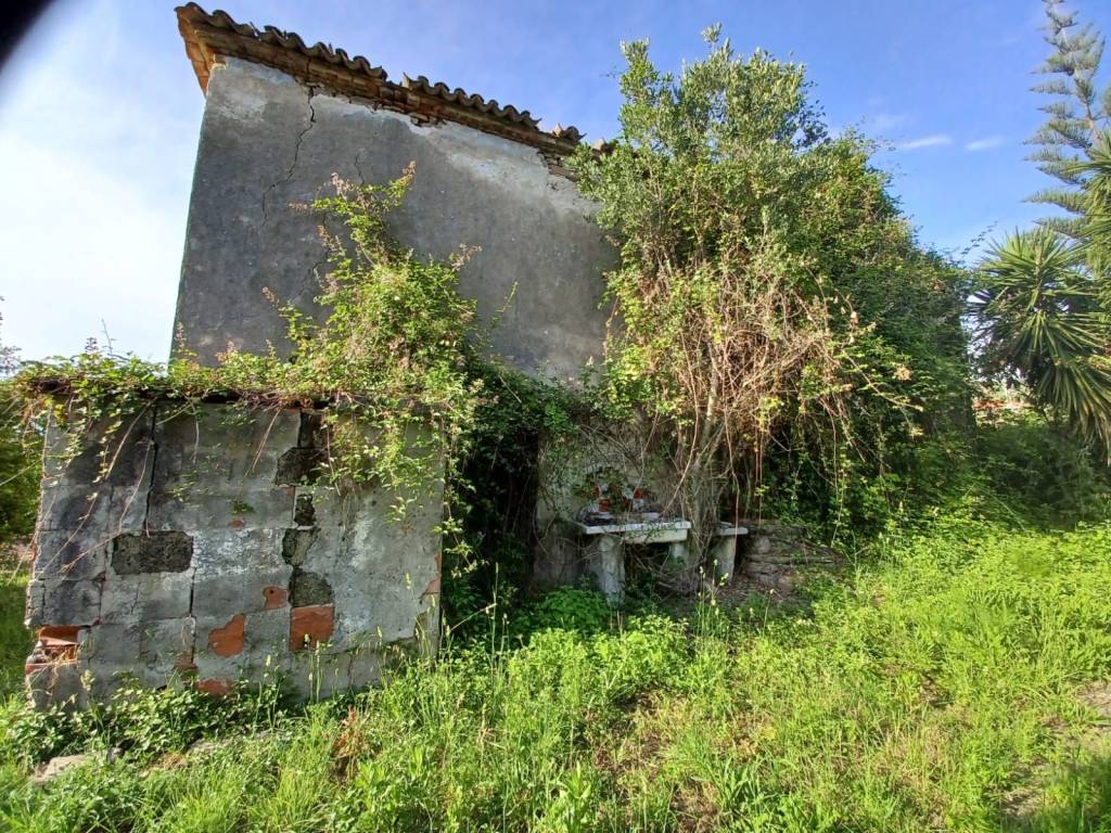 immagine annuncio 5 di 6