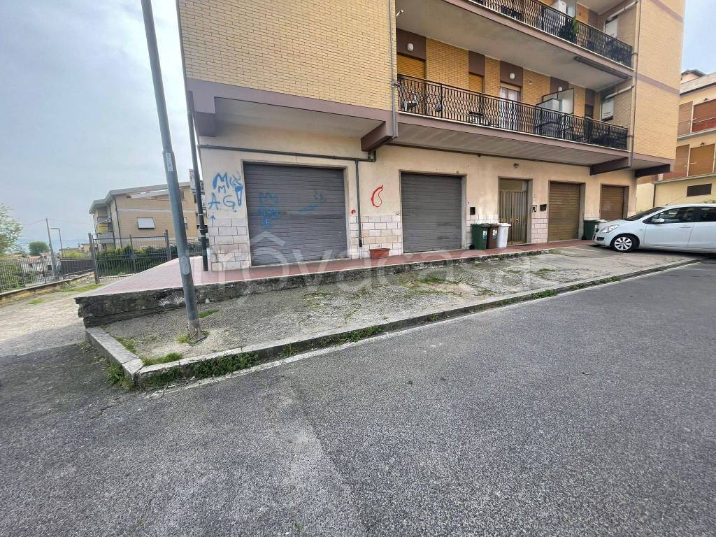 immagine annuncio 1 di 14