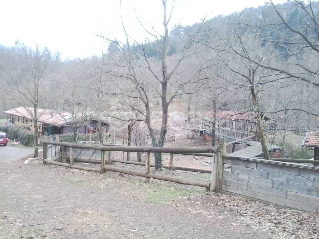 immagine annuncio 2 di 6