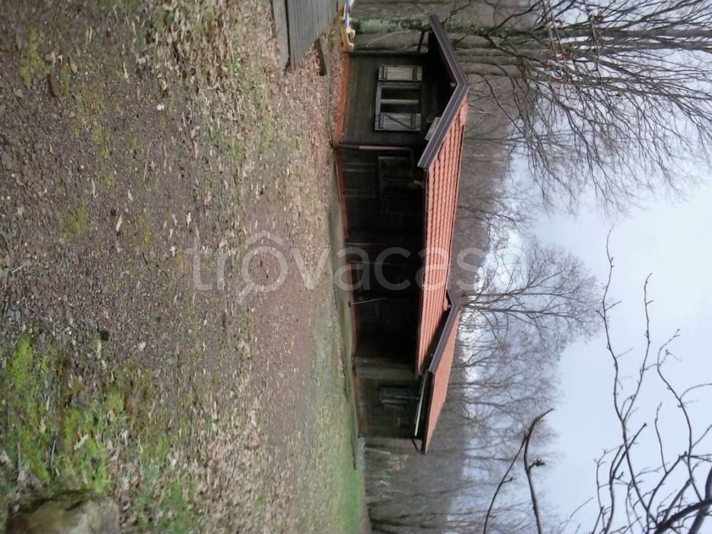 immagine annuncio 4 di 6