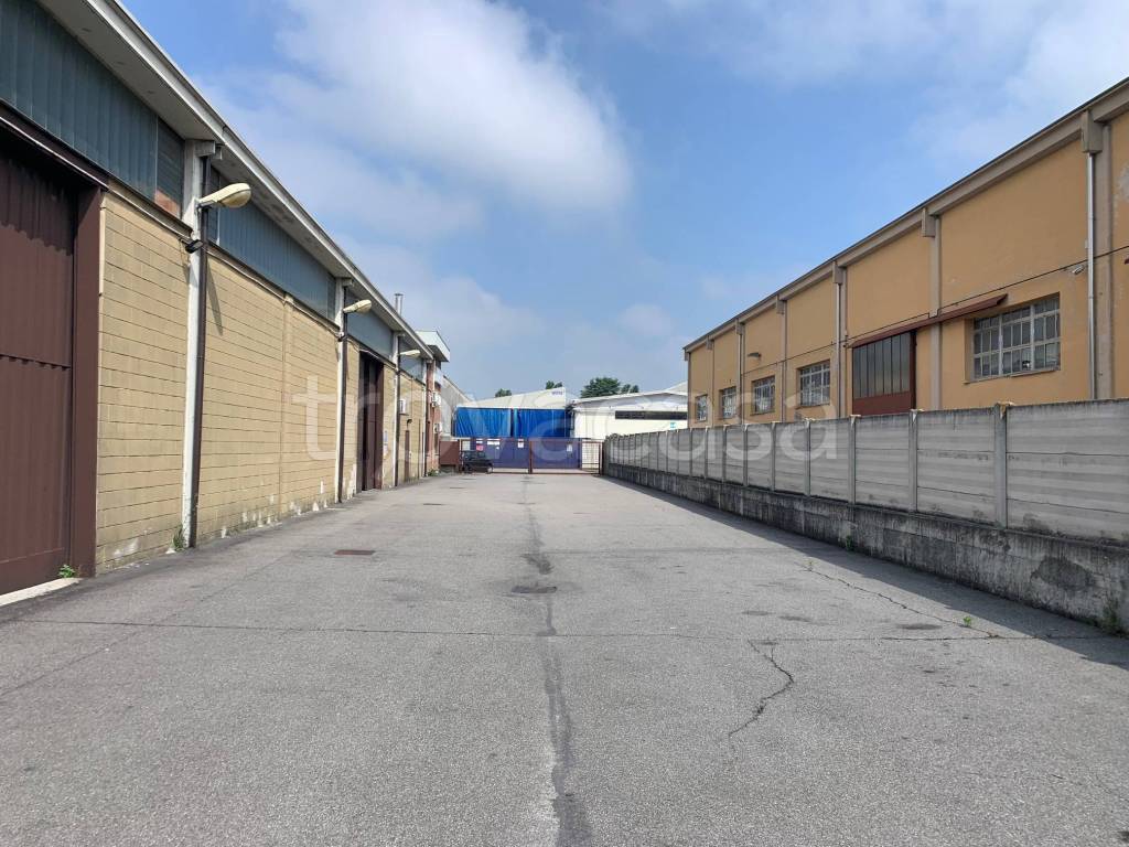 immagine annuncio 1 di 11