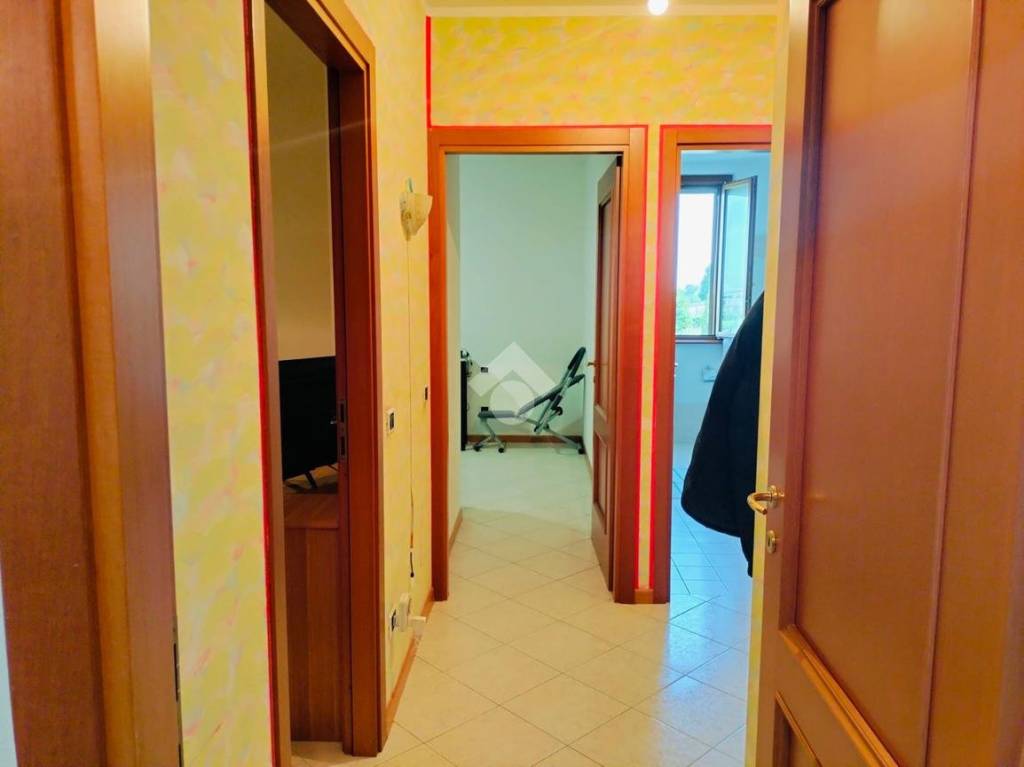 immagine annuncio 4 di 12