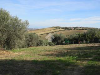 Terreno residenziale in vendita a notaresco contrada caporipe