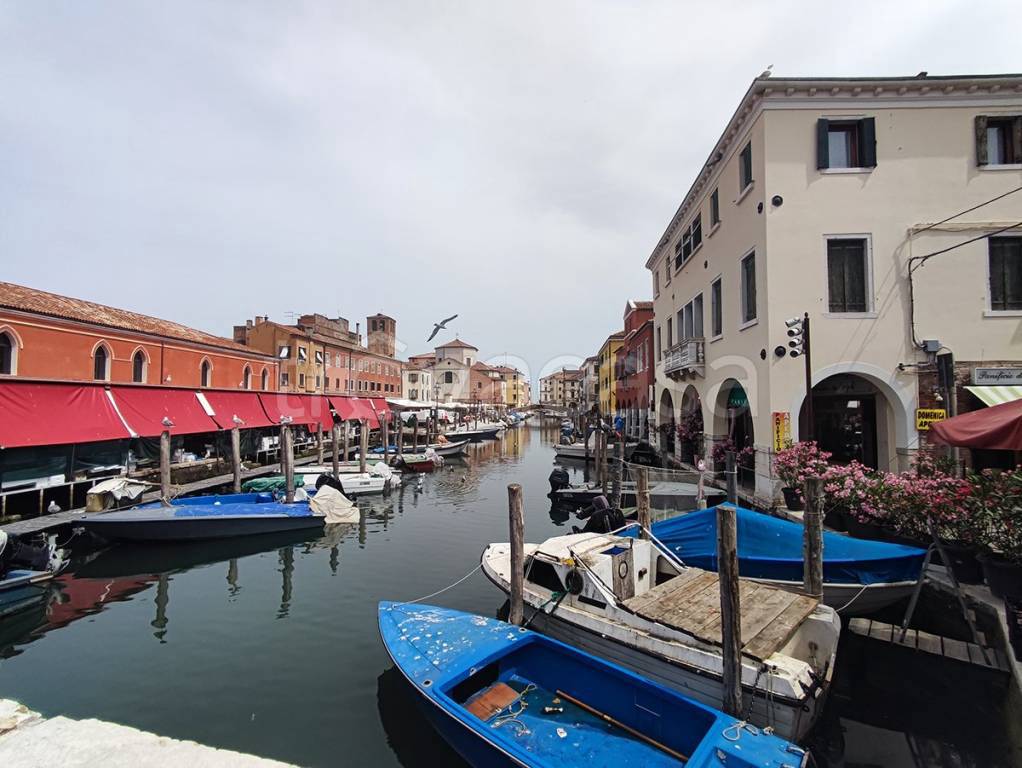 immagine annuncio 11 di 14