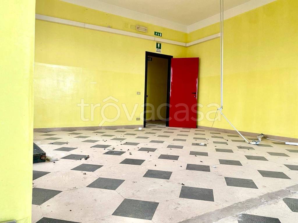 immagine annuncio 5 di 12