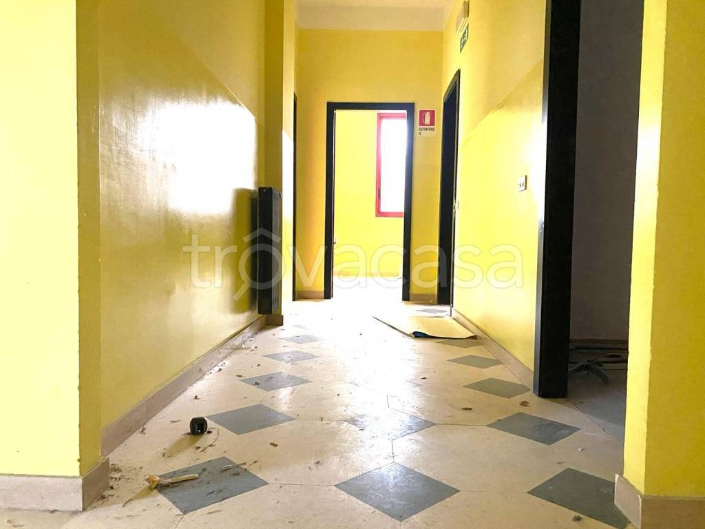 immagine annuncio 8 di 12