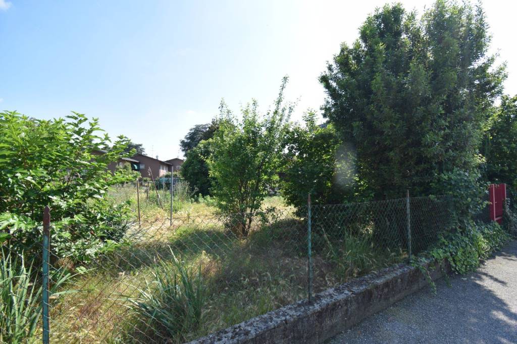 immagine annuncio 12 di 15