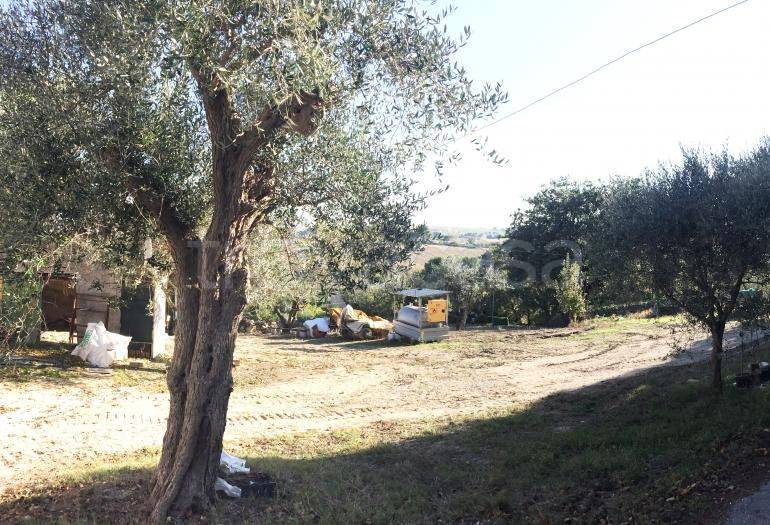 immagine annuncio 4 di 6